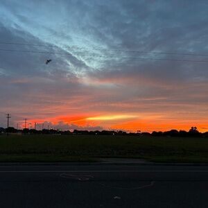 Meet your Posher, Willow